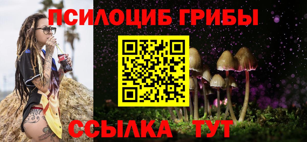 Псилоцибиновые грибы ЛСД  Галлюциногенные грибы мицелий  Кыштым  Вход с VPN 